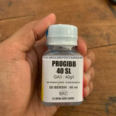 progibb price.